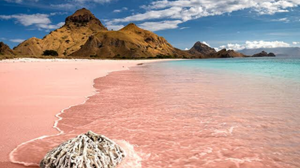 Pantai Pink Lombok